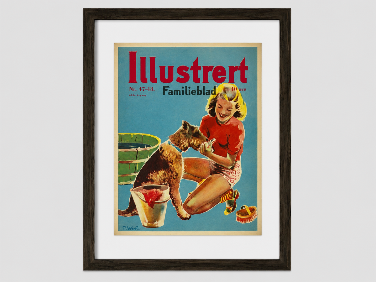 Vintage Illustrert 1948